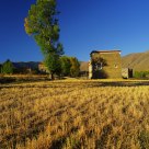 Village House