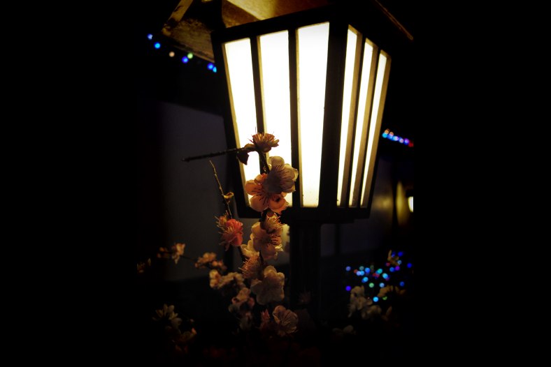 Sakura in Little Tokyo