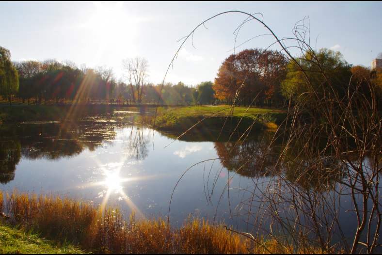the sun in the lake