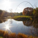 the sun in the lake