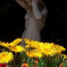 ofrenda floral