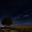 A la luz de la Luna
