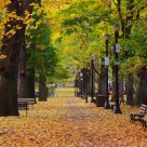 it's Autumn...