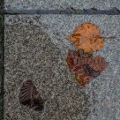 On the ground