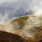 Fog