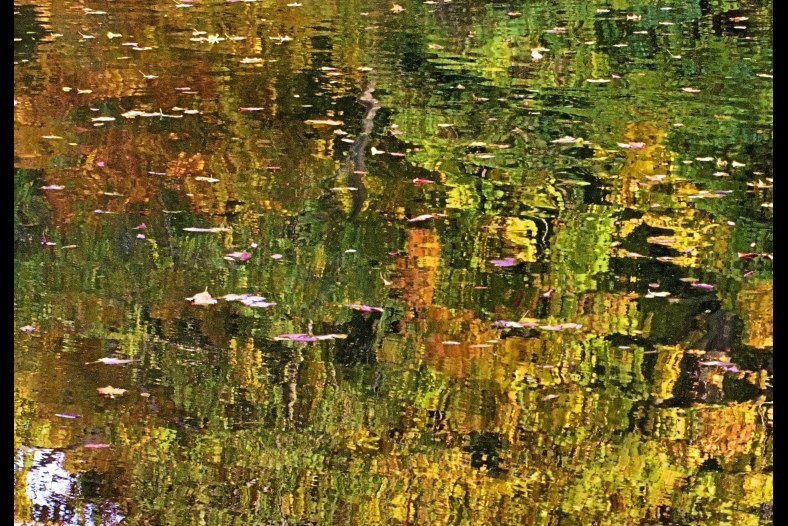 Autumn Pond