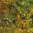 Autumn Pond