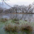 winter lake