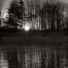 Sun Rising Through the Trees