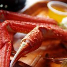 crab