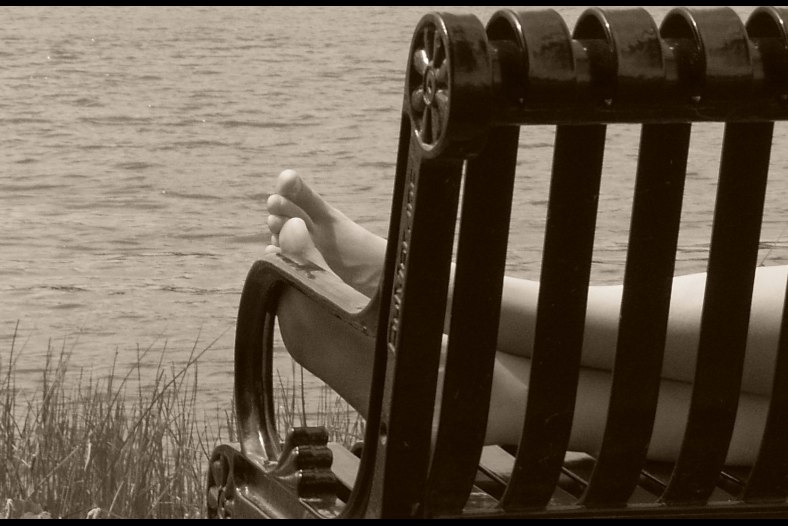 Lazy Summer Day