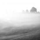 Mist