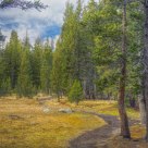 Dog Lake Trail