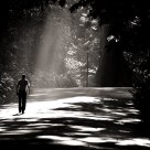 Morning Walk