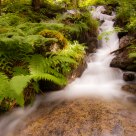 Mountain stream