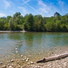 Along the river