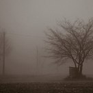Mugello Fog 