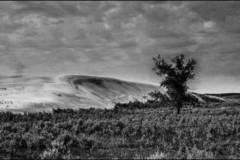 Desert Landscape