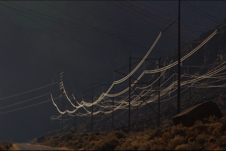 Power Lines in the Morning
