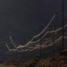 Power Lines in the Morning