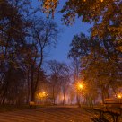 Mist and mystery.