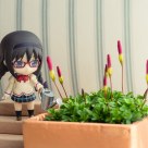 Water the flowers