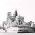 Notre Dame