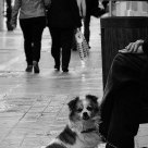 Soledad/loneliness