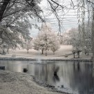 On Peaceful Pond