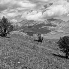 Distant thunder
