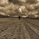 Erciyes eteklerinde tarlalar