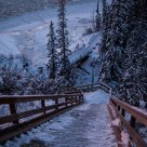 Long Cold Walk Ahead