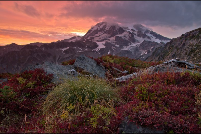 Autumn Sunrise