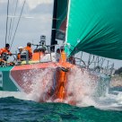 In Port Race 