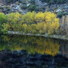 Autumn Reflection On The Lake
