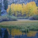 Misty Fall Color Reflection