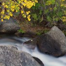 Fall Color And The Cascading Water
