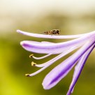 A soft landing