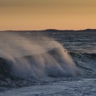 The Wave