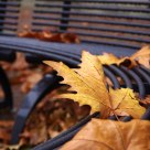 Park bench