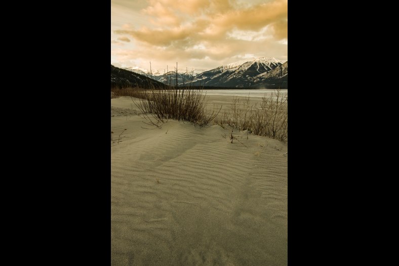 Athabasca Sand Dunes