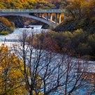The Bridge
