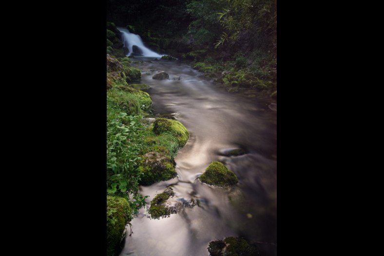 Mountain stream