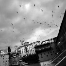 Bassano