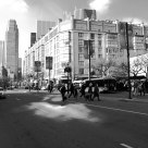 The City