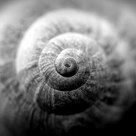 Spiral