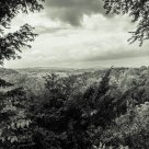 Nature's Window