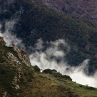 Fog in the mountain