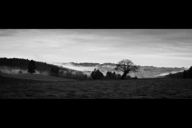 Fields & Mist