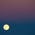 Moon at Dusk